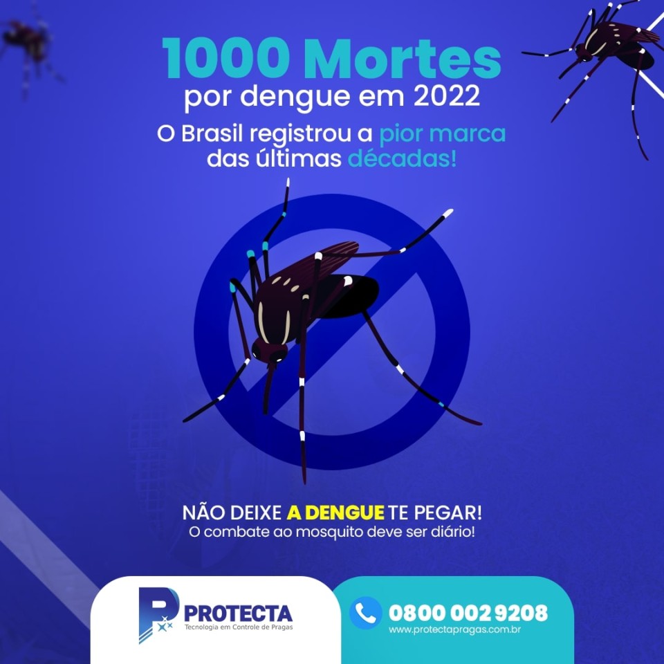 Brasil bate recorde anual de mortes por dengue em 2022 - Saiba Mais